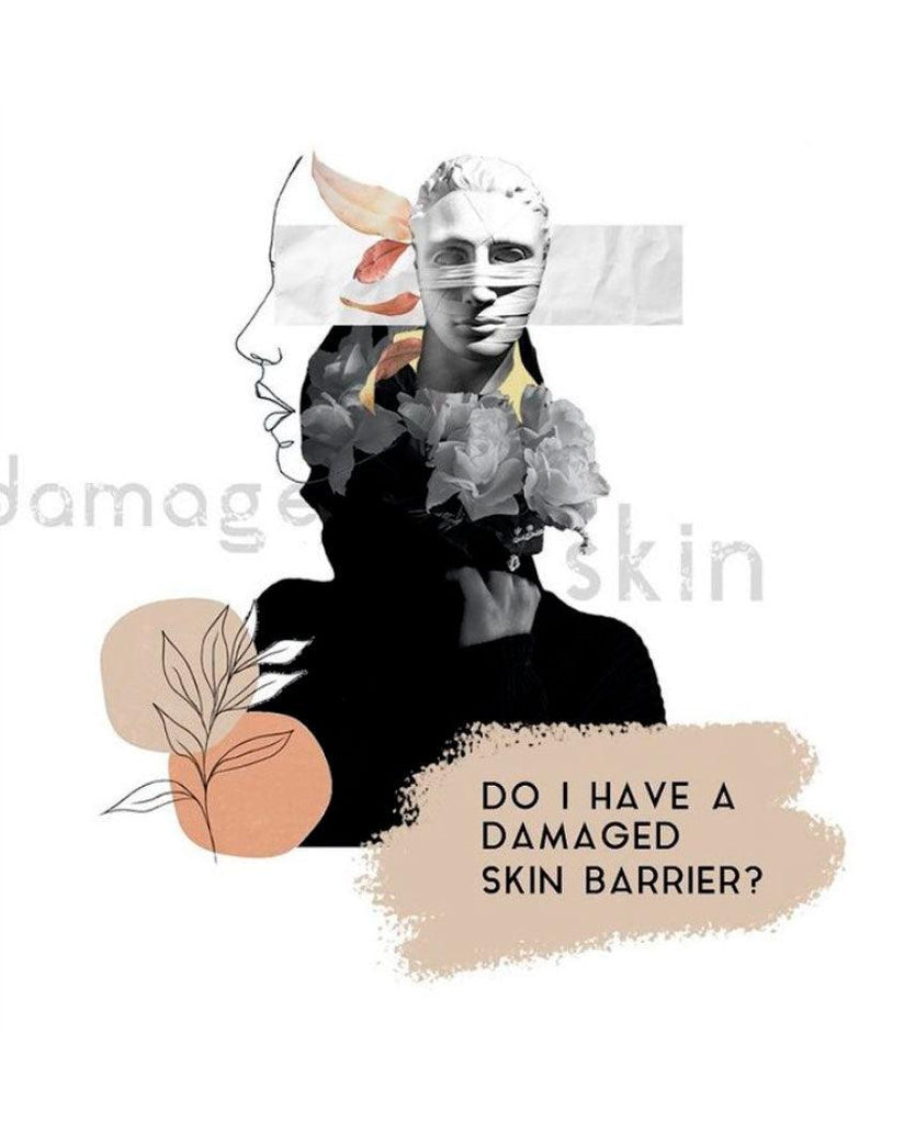 How to tell if you have damaged skin barrier? - AMINU