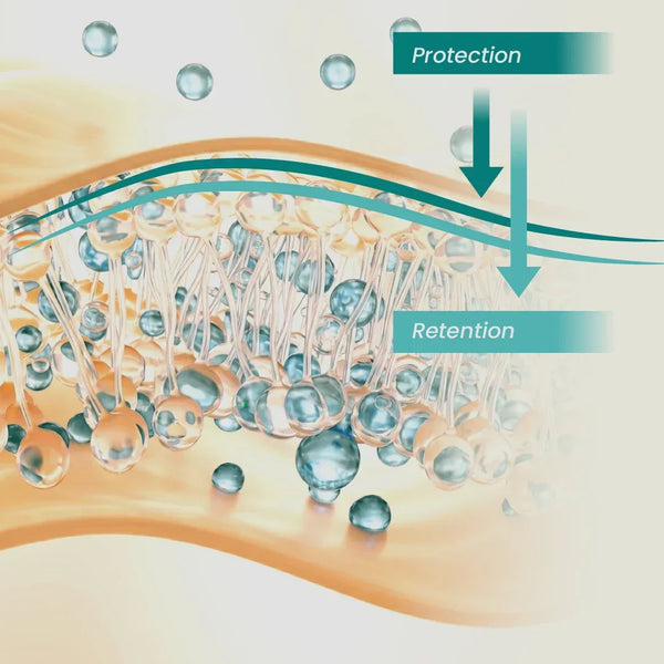 Lamellar Gel Technology: The 
