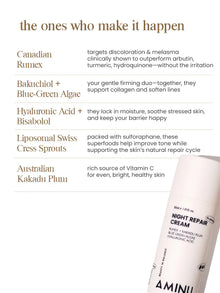 Night Repair Cream