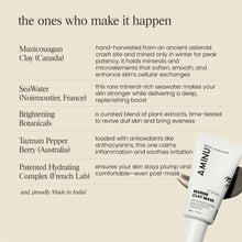 Marine Clay Mask
