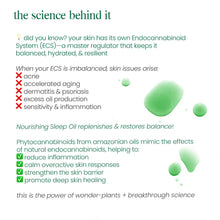 Nourishing Sleep Oil